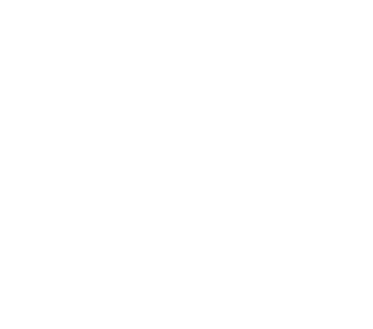 Ry Marie Images Logo